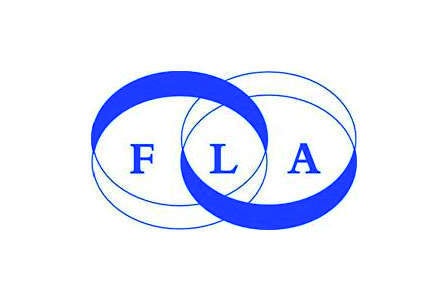 UPDATED FLA: consumer car finance grows 11% in H1 2016