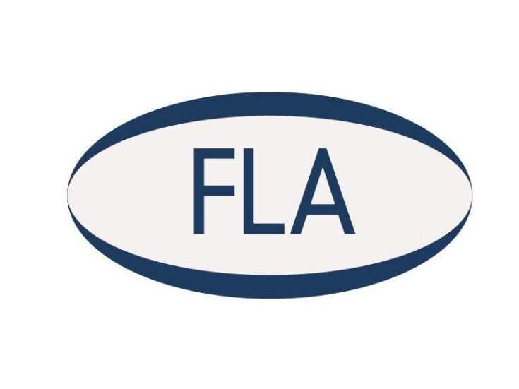 FLA figures: consumer car finance up in May